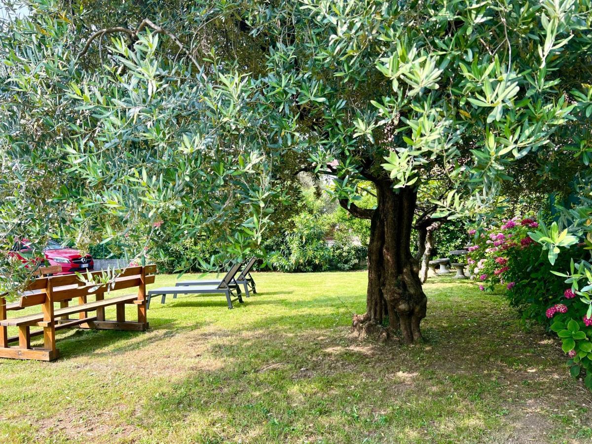 Villa Verde Riva del Garda Exterior photo